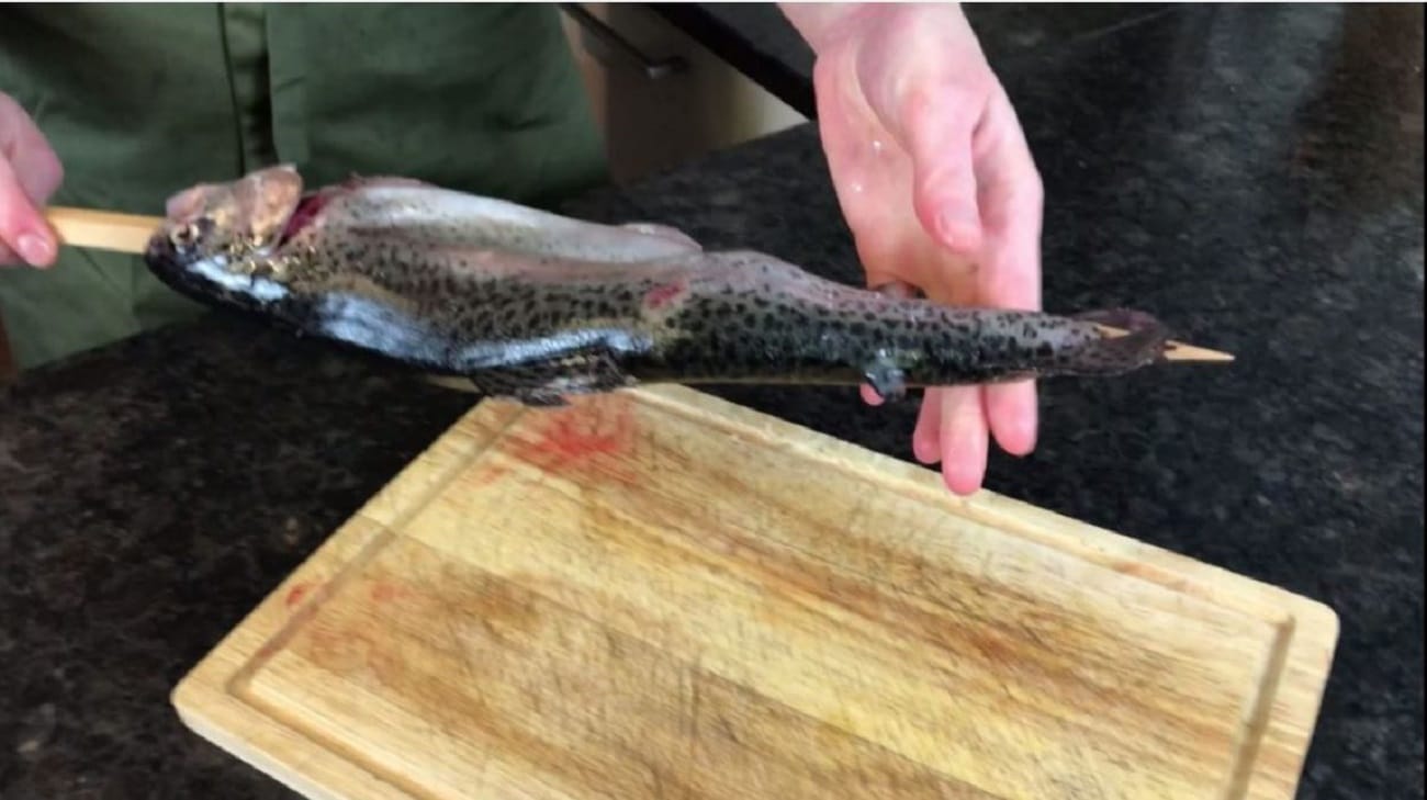 Forellen stecken – Wie kommt der Fisch auf den Holzspieß?