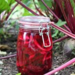eingekochte rote bete im glas