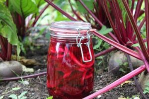 eingekochte rote bete im glas