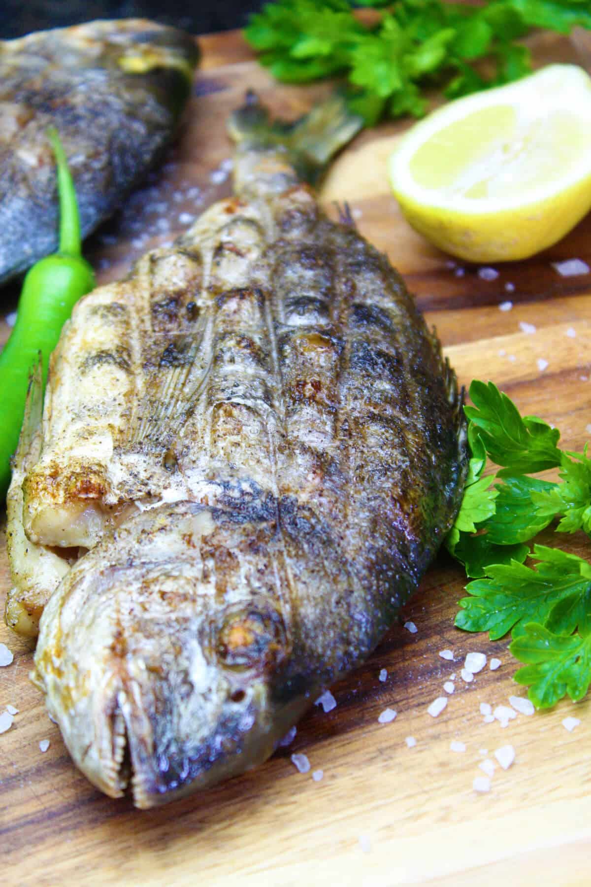 dorade mit krosser haut