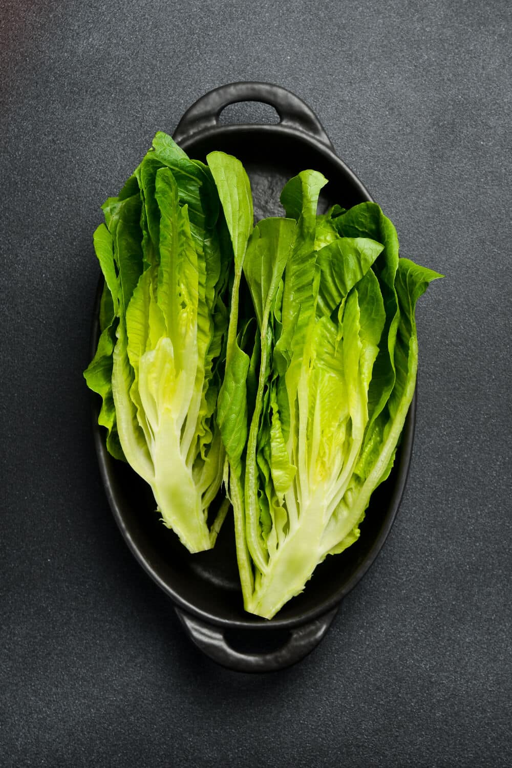 durchgeschnittener roemersalat