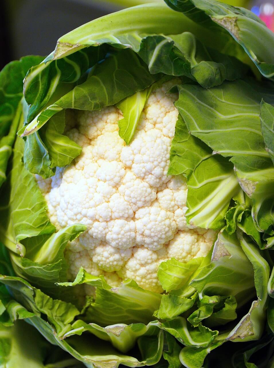eingefrorener blumenkohl