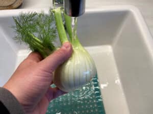 fenchel grillen zubereitung schritt 1