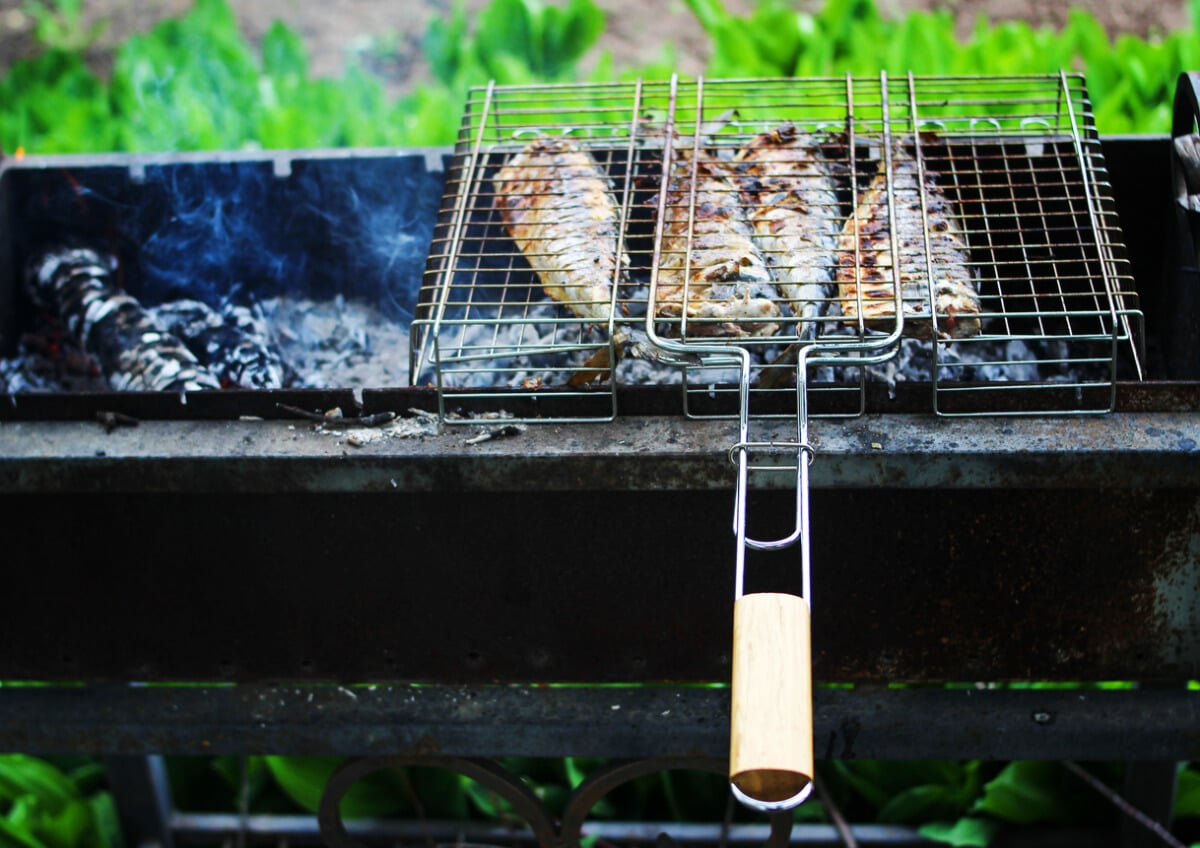 fischgrillzange