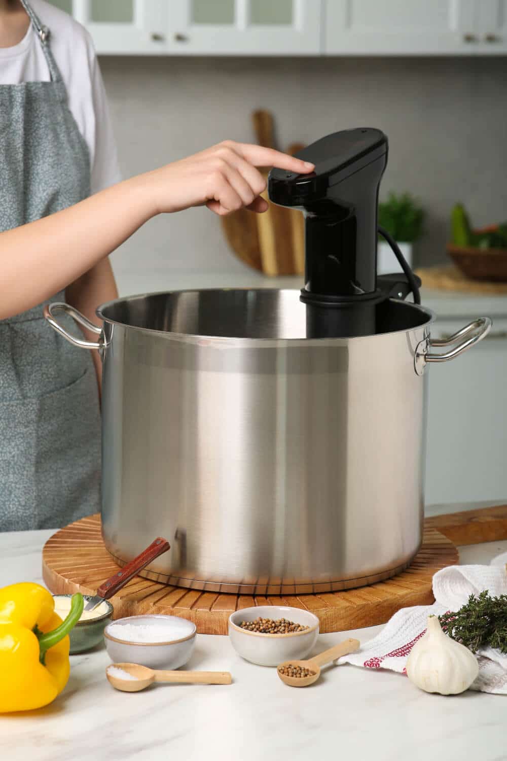 frau haelt sous vide stick in topf