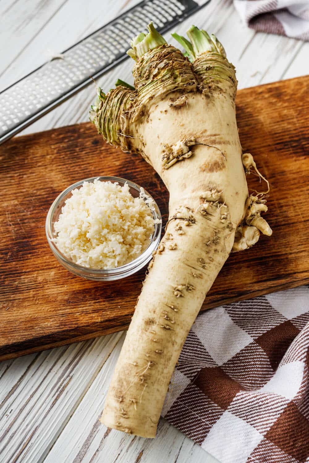 frischer Meerrettich