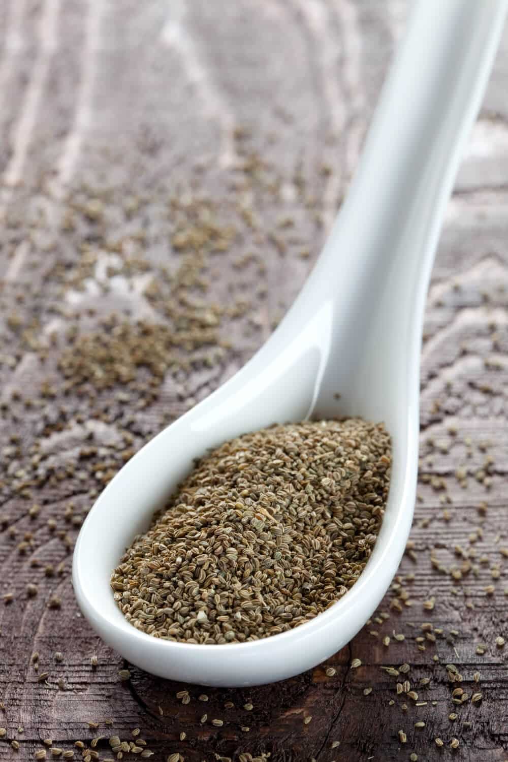 getrocknete selleriesamen