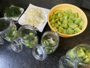 gurkenstuecke, zwiebeln und den dill in einmachglaeser verteilen