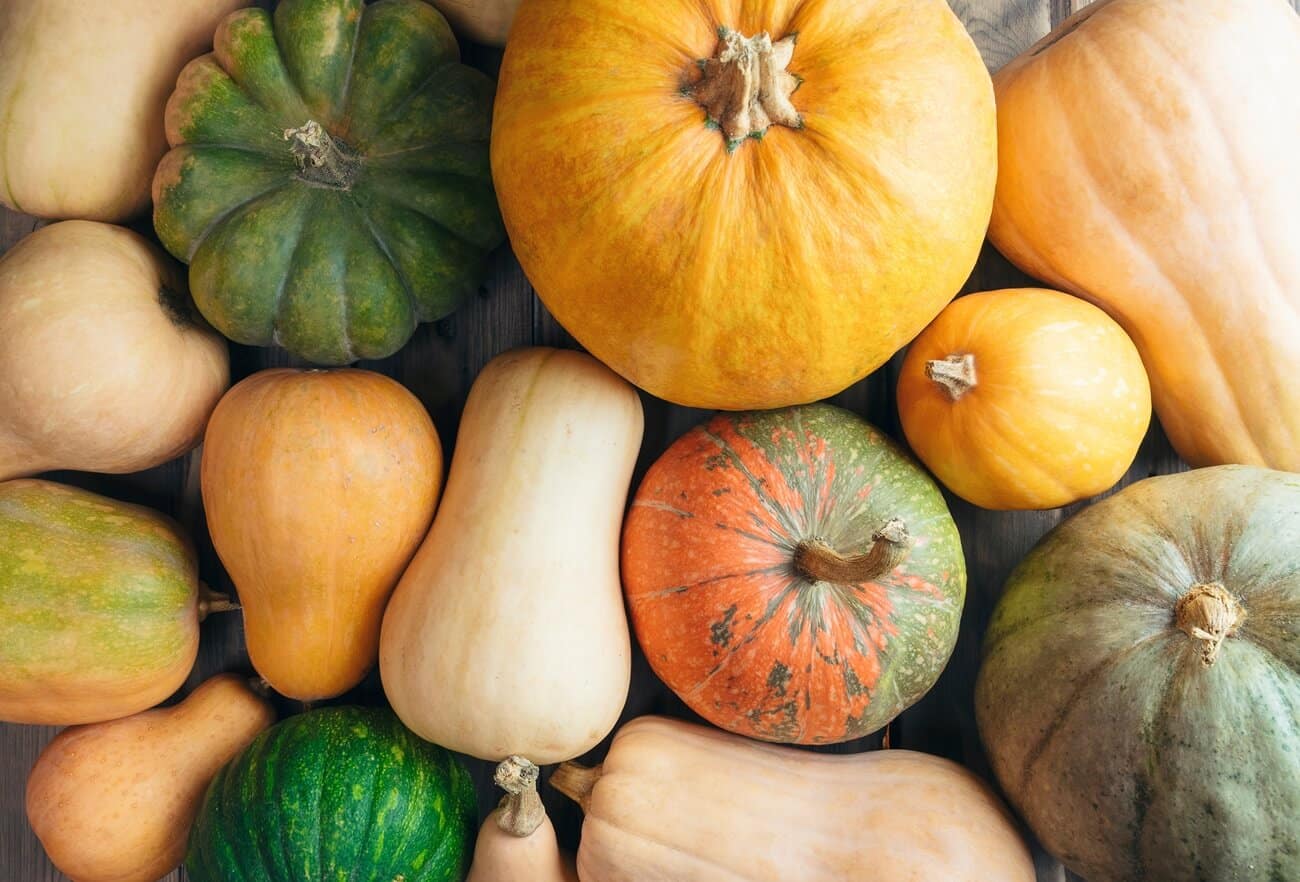 kuerbis - grill lexikon