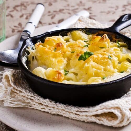 mac and cheese rezept