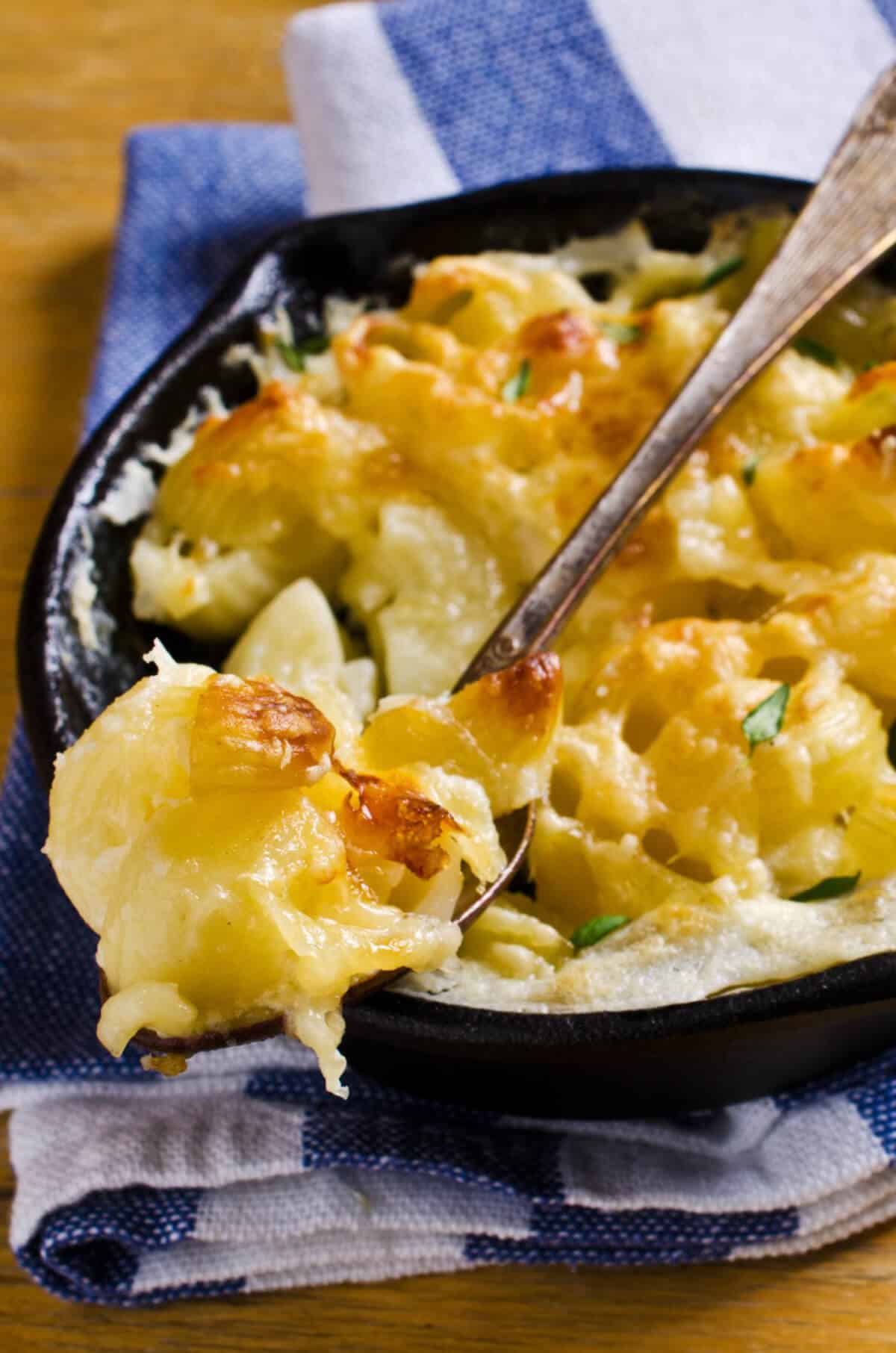 makkaroni mit kaese