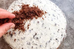maulfwurfkuchen rezept schritt 11