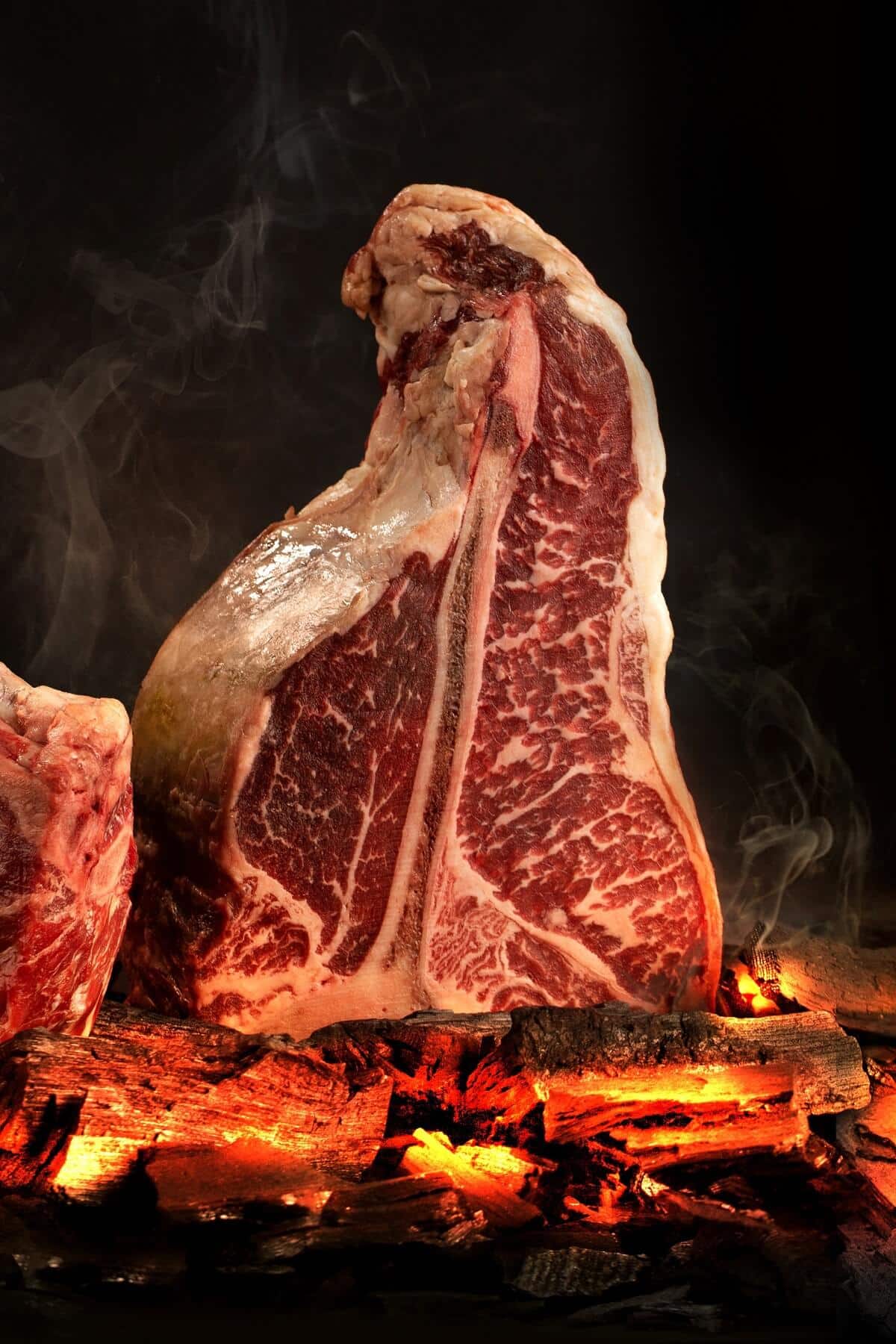 porterhouse steak in glut