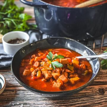 schaschliksuppe