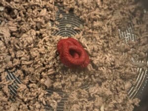 spaghetti auflauf rezept schritt 6