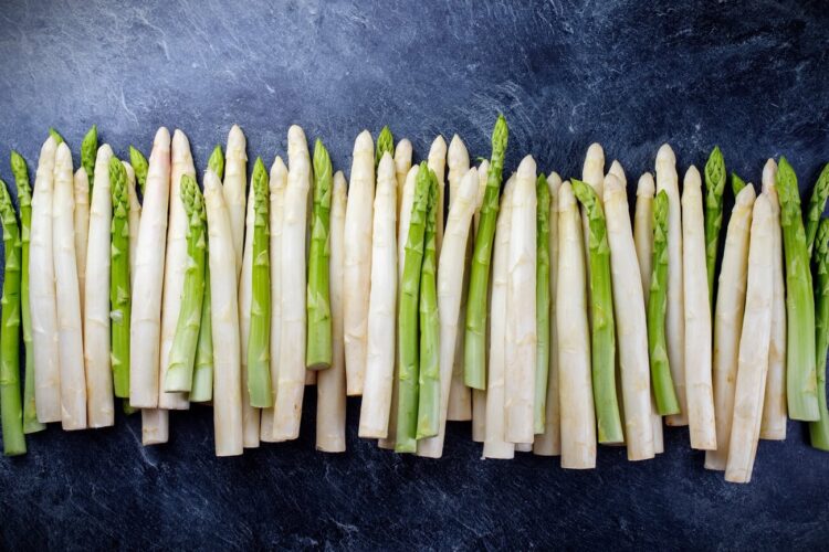 spargel - gemuese lexikon