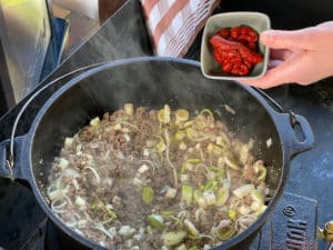 tomatenmark in gemuese hackmasse geben und anroesten