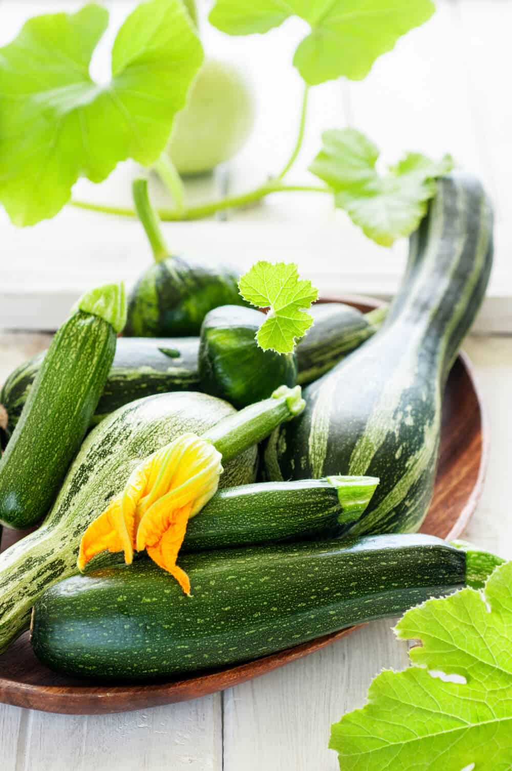zucchini varianten